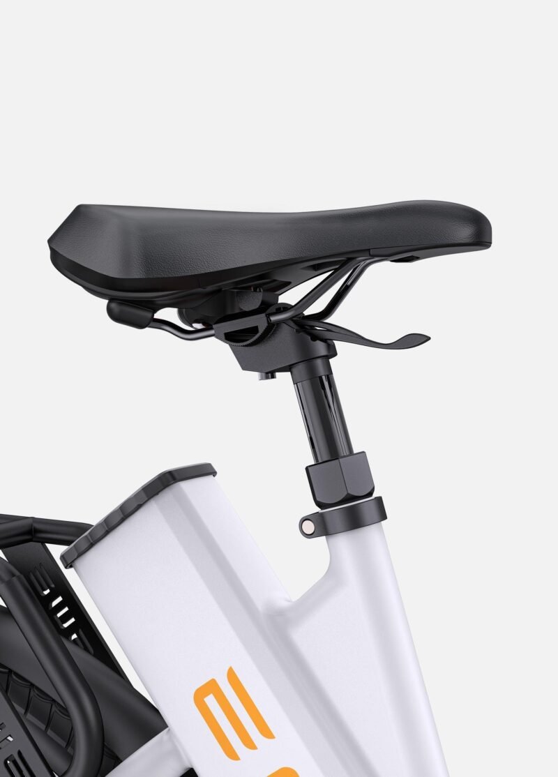 ENGWE P275 ST - Netherlands Ebike - NLEBIKE.COM