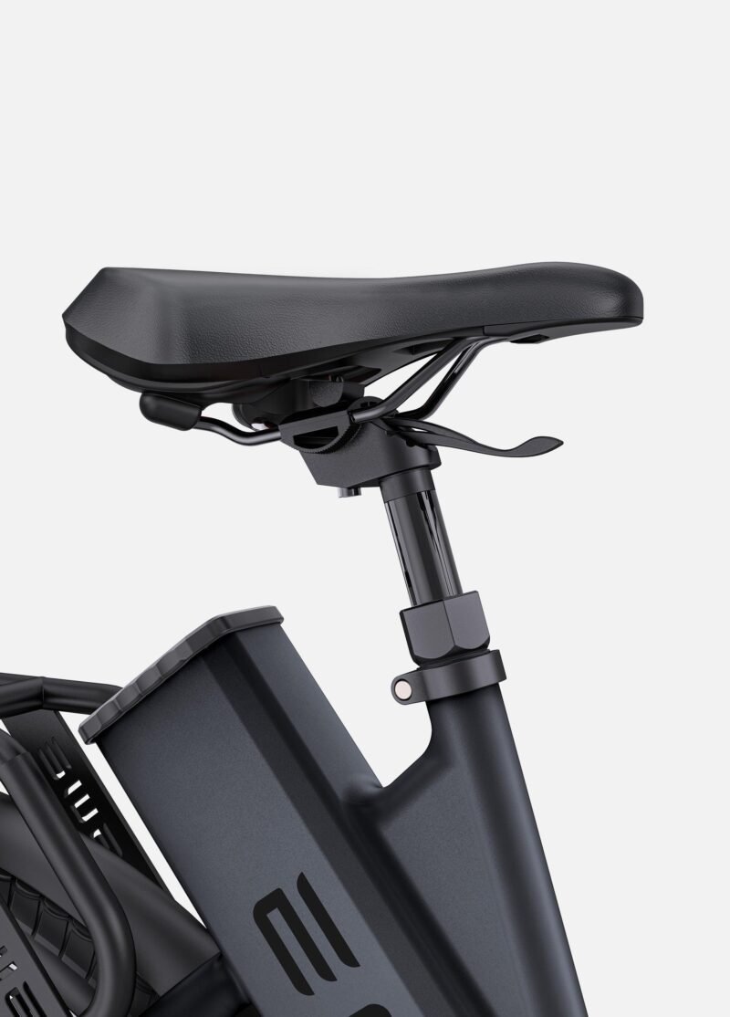 ENGWE P275 ST - Netherlands Ebike - NLEBIKE.COM